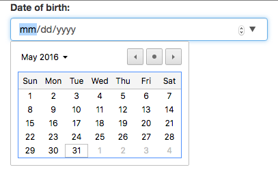 form-input-type-date-picker