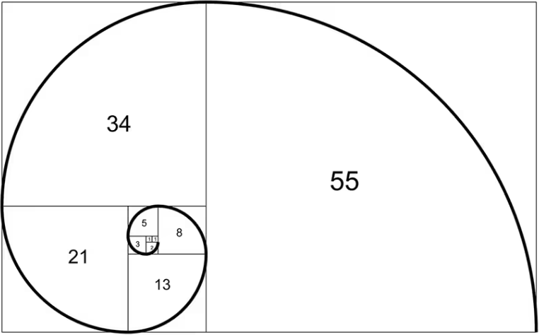 A visualization of the fibonacci sequence