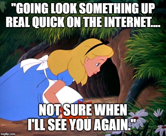 A meme about getting into a rabbit hole on the internet, featuring Alice in Wonderland looking down a rabbit hole